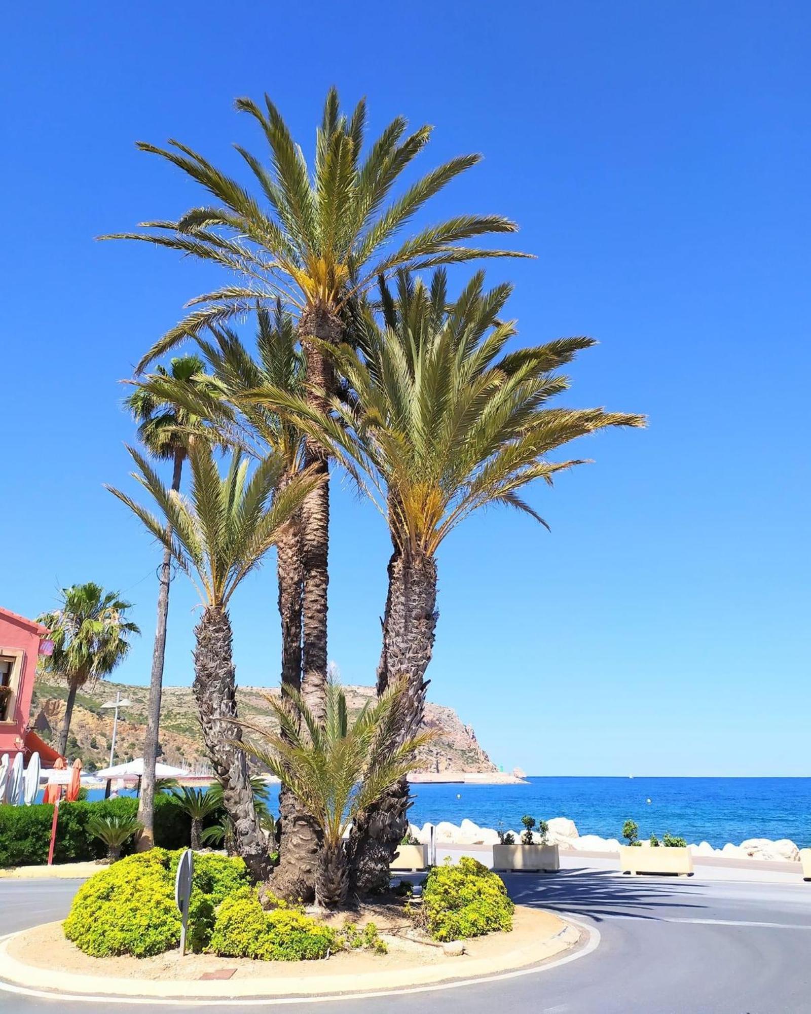 Javea Arenal Beach Εξωτερικό φωτογραφία